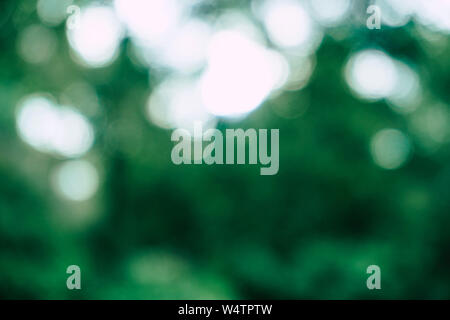 Natural green bokeh background Stock Photo