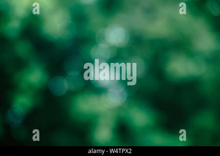 Natural green bokeh background Stock Photo