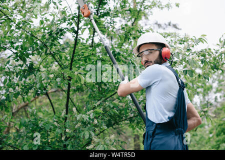 serious gardener in helmet trimming trees with telescopic pole saw and looking at camera Stock Photo