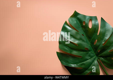 green tropical leaves monstera on orange pastel background with copy space. flat lay, top view Stock Photo