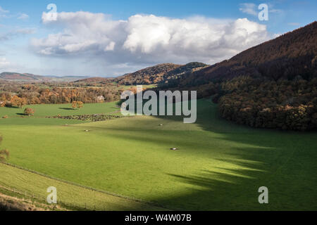 Herefordshire, UK. View from the Offa's Dyke Path where it crosses Herrock Hill, nr Kington, looking down the Hindwell Valley to the distant Clee Hill Stock Photo