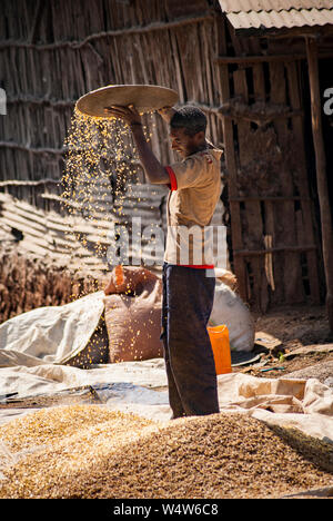 Man separating grain (threshing) for sale in a rural market in Illubabor, Ethiopia Stock Photo