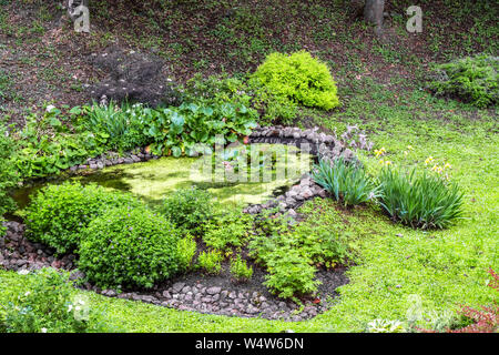 A small pond, surrounded by a stone covered with yellow mud with a lily flower on the surface of the water. Stock Photo