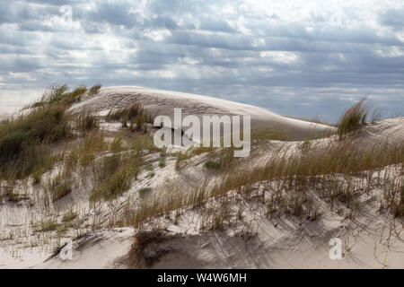 Wind saltates sand-grains across a vegetated sand dune at Monahans Sandhills State Park, Texas. Stock Photo