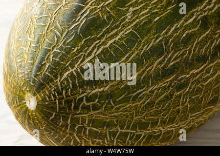 Piel de sapo melon with a blotched green peel close up Stock Photo