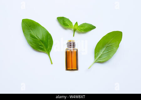 Fresh green basil leaves with essential oil isolated on white Stock Photo