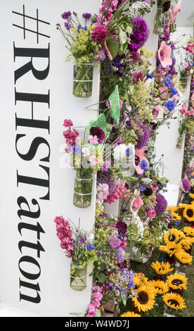 Cut flower display at RHS Tatton Park flower show, July, 2019, England, UK Stock Photo