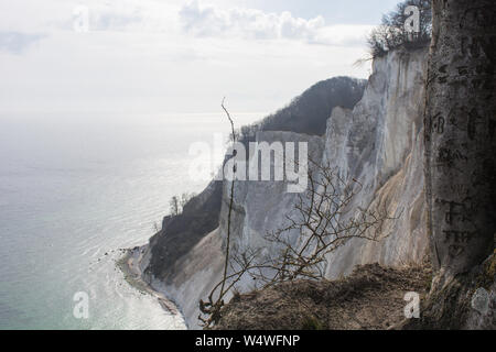 Chalk cliff landscape on Moens Klint in Denmark Stock Photo