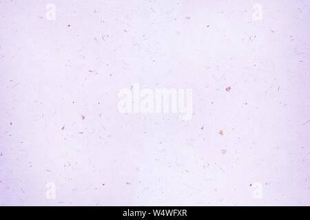 Purple tone handmade paper texture for background. Stock Photo