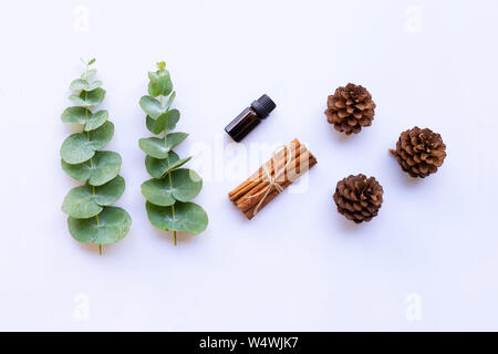 Essential oil with branches of eucalyptus, vintage scissors, cinnamon stick and pine cones on white background Stock Photo