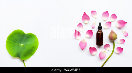 Lotus essential oil with lotus flowers on white background. Stock Photo