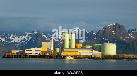 Former herring factory, now a national museum of the Norwegian fishing industry in evening light against some Lofoten mountains Stock Photo