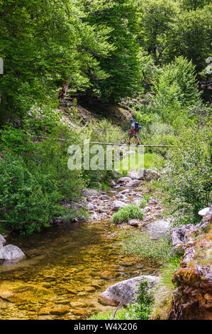 Elderly hiker during the GR20 hike in Corsica, France Stock Photo