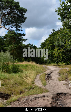 Reigate common and town centre Stock Photo