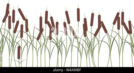 Vector reed stalks plant seamless pattern on white background for decoration and props, cartoon and nature background Stock Vector