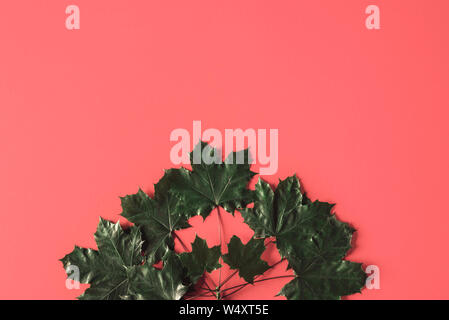 Fall minimal concept with dried maple leaves on a living coral-colored background. Above view of dark leaves on red backdrop. Autumn dried leaves. Stock Photo