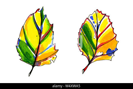 Two watercolor stylized graphic autumn leaves. Hand painted pastel yellow, orange and green colors. Blue, red and black ink contour. Isolated object o Stock Photo