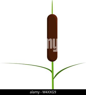 Single Reed Illustration Single reed stem with leaves plant. Vector artwork with yellow blue ...