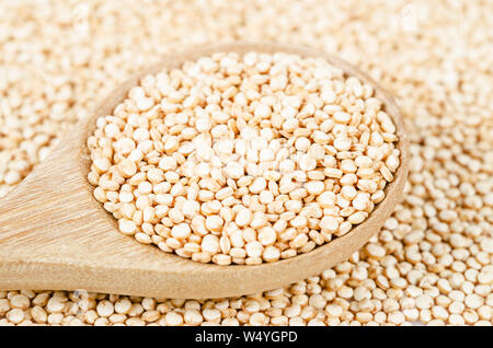 quinoa seeds in wooden spoon. Stock Photo