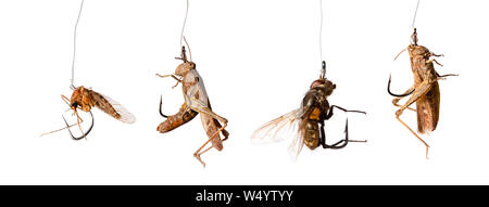 set of insect baits on the hook isolated on white background Stock Photo