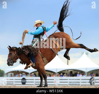 (190726) -- BEIJING, July 26, 2019 (Xinhua) -- A rider competes during the saddle bronc riding event at the Cheyenne Frontier Days Rodeo in Cheyenne, the United States, July 24, 2019. (Xinhua/Li Ying) Stock Photo