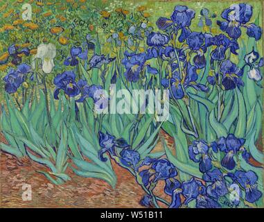 Irises, Vincent van Gogh (Dutch, 1853 - 1890), Saint-Rémy, France, Europe, 1889, Oil on canvas, 74.3 × 94.3 cm (29 1/4 × 37 1/8 in Stock Photo