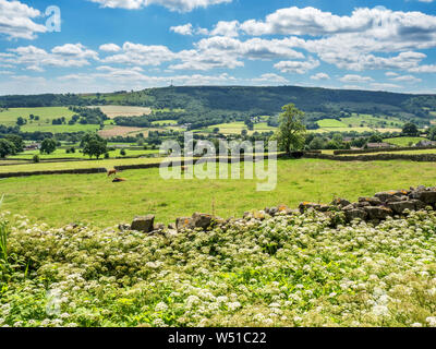 View across Nidderdale to Guise Cliff near Blazefield Pateley Bridge North Yorkshire England Stock Photo