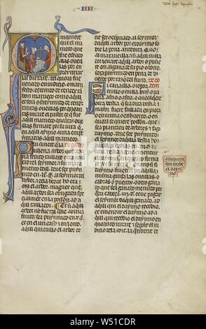 Initial Q: A Judge Pointing to Two Men with a Ram, Unknown, Michael Lupi de Çandiu (Spanish, active Pamplona, Spain 1297 - 1305), Northeastern Spain, Spain, about 1290 - 1310, Tempera colors, gold leaf, and ink on parchment, Leaf: 36.5 x 24 cm (14 3/8 x 9 7/16 in Stock Photo