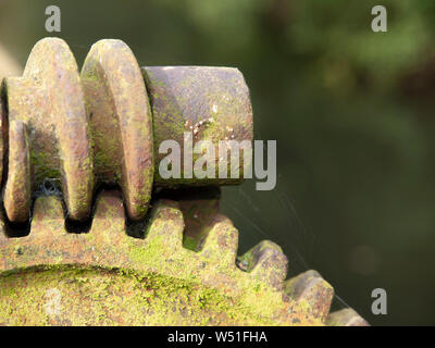 The large, lichen covered screw and cogs on an old watermill sluice gate showing spiders' webs against a blurred background. Stock Photo