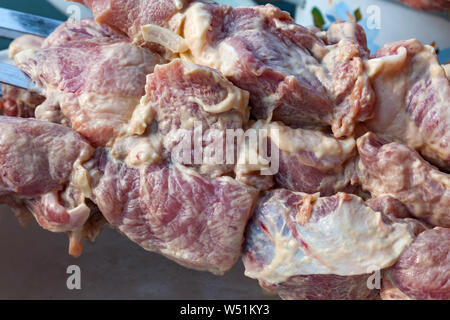 Close-up of raw meat in marinade with onions and mayonnaise on skewers for cooking kebabs on a plate. Picnic and food in nature and outdoors. Stock Photo