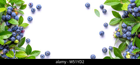 Blueberries and leaves isolated on white background Stock Photo