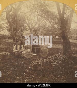 Three women and a man in apple orchard, baskets of apples on ground, Edward O. Waite (American, active 1880s), about 1870, Albumen silver print Stock Photo