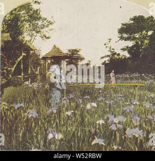 Tokyo, Japan. In the Gorgeous Fields of Iris (recto), Native Tifflin House, Isl. of Java (verso), Unknown, about 1900, Color halftone print Stock Photo