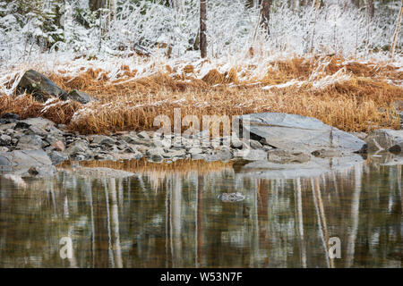 Lake shore landscape after snowfall in Finland Stock Photo