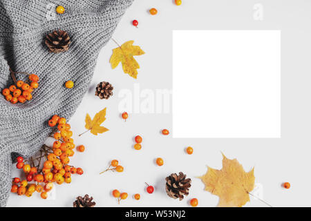 Autumn composition. Maple leaves, cones, sweater, rowan and white frame on gray background. Creative composition. Autumn, fall, thanksgiving day conce Stock Photo