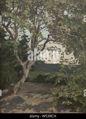 Anna Nordlander, A Tree. Study, painting, Oil on paper, Height: 365 cm (11.9 ft), Width: 275 cm (108.2) Stock Photo