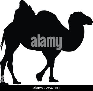 Camel Silhouette  Vector Image Illustration Isolated On White Stock Vector