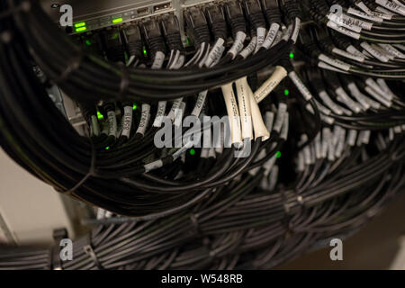 Network Switch and Ethernet Cables Patched into Local Network and IPTV Stock Photo