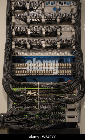 Network Switch and Ethernet Cables Patched into Local Network and IPTV Stock Photo