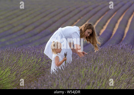 Valensole, France. Mother with daughter in lavender field Stock Photo
