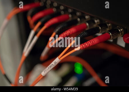 Optical distribution panel with connected patch cord cable Stock Photo