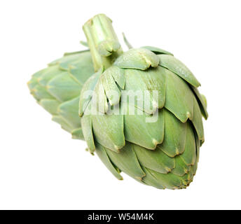 Two artichokes isolated on white Stock Photo