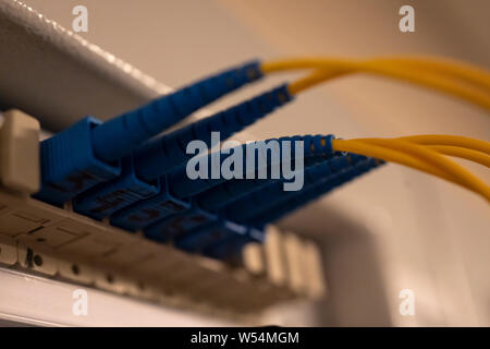 Optical distribution panel with connected patch cord cable Stock Photo