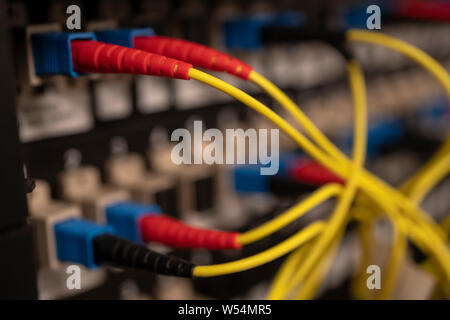 Optical distribution panel with connected patch cord cable Stock Photo