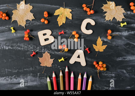 Back to school concept. Colored pencils, rowan and dried maple leaves on black table background. Flat lay, top view, copy space. Stock Photo