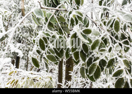 Landscape of the snow-covered Tianmen Mountain in Zhangjiajie city, central China's Hunan province, 16 February 2019. Stock Photo