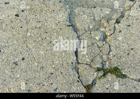 Closeup crack in a concrete farm road with grass growing in it in a rural area of Germany Europe Stock Photo