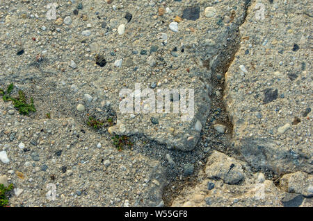 Closeup crack in a concrete farm road with grass growing in it in a rural area of Germany Europe Stock Photo