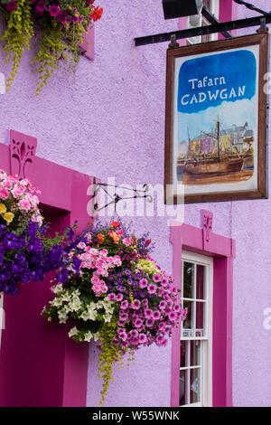 The Tafarn y Cadwgan pub in Aberaeron a popular seaside town in Ceredigion, Wales, UK Stock Photo