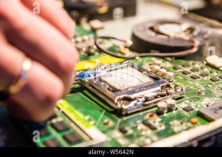 Technical support worker greases with thermal grease paste computer processor Stock Photo
